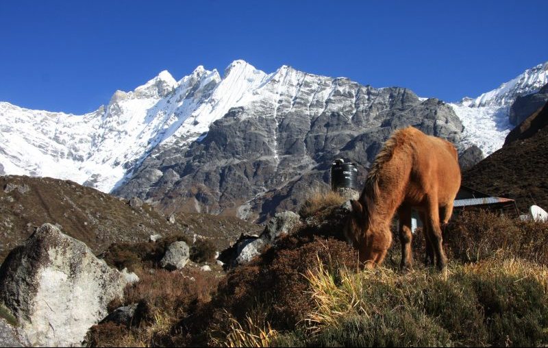Langtang Valley Trek